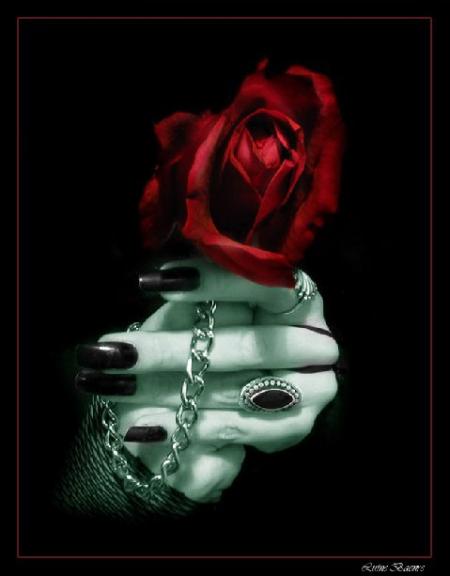 roze--goth--